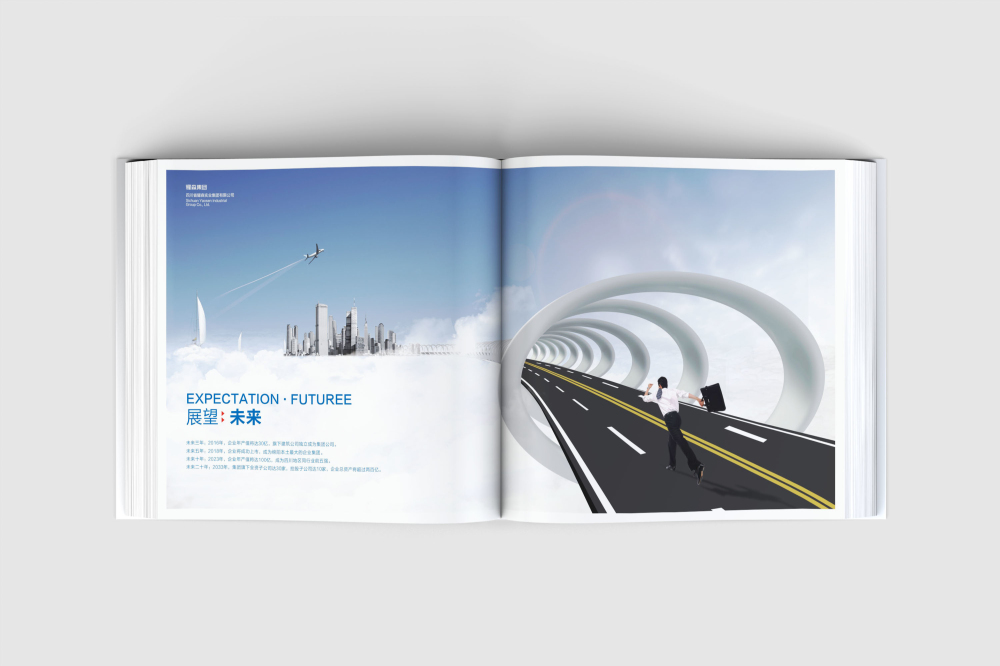 田家庵区画册设计